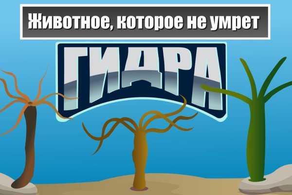 Кракен маркетплейс kr2web in площадка